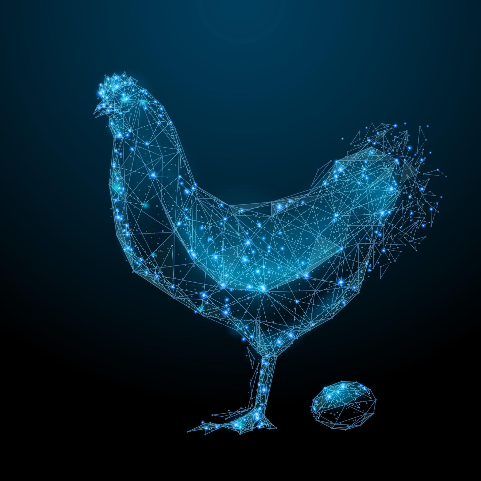 Blockchain Security